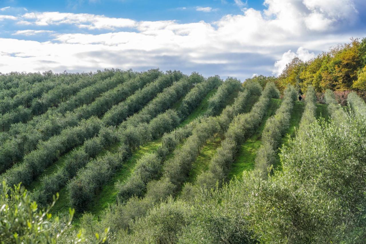 Agriturismo Renello Petroio Esterno foto